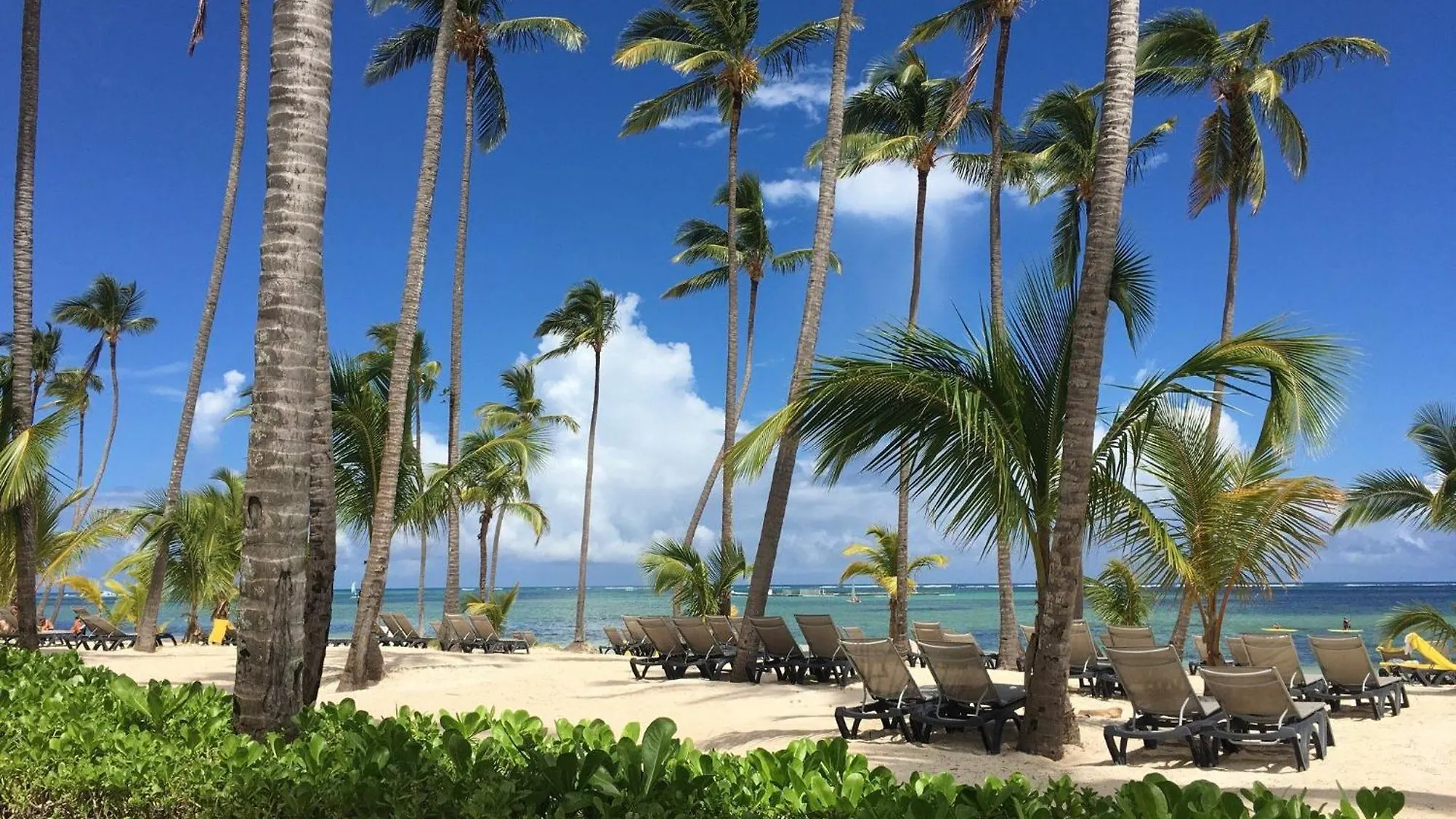 Caribbean Tropical Villa - Free Electricity Included Punta Cana